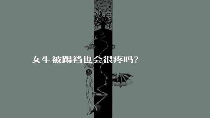 女生被踢裆也会很疼吗？