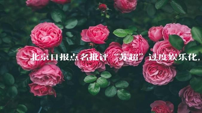 北京日报点名批评“苏超”过度娱乐化，它是否管的太宽了？为什么无良媒体不会被查封取缔？